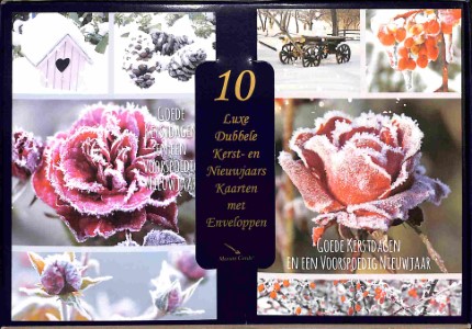 Doos Goede Kerstdagen en een Voorspoedig Nieuwjaar