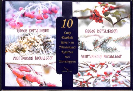 Doos Goede Kerstdagen en een Voorspoedig Nieuwjaar