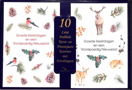 Doos Goede Kerstdagen en een Voorspoedig Nieuwjaar