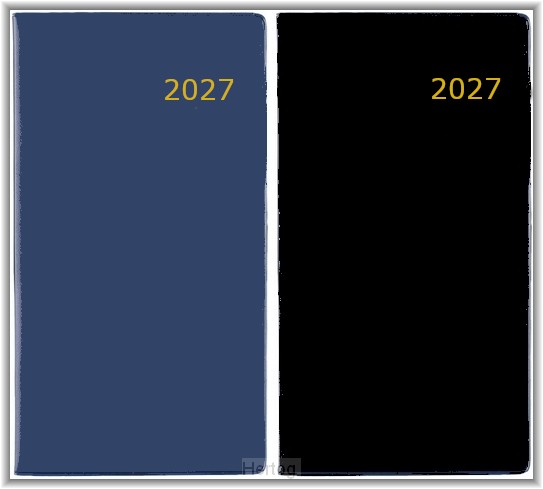 Zakagenda 2027 - dik met ringband