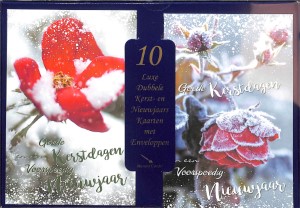 Doos Goede Kerstdagen en een Voorspoedig Nieuwjaar