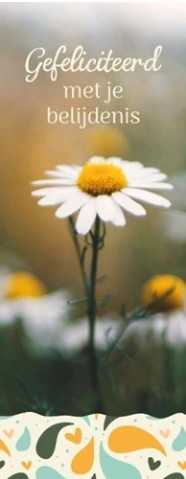 Gefeliciteerd met je belijdenis - boekenlegger