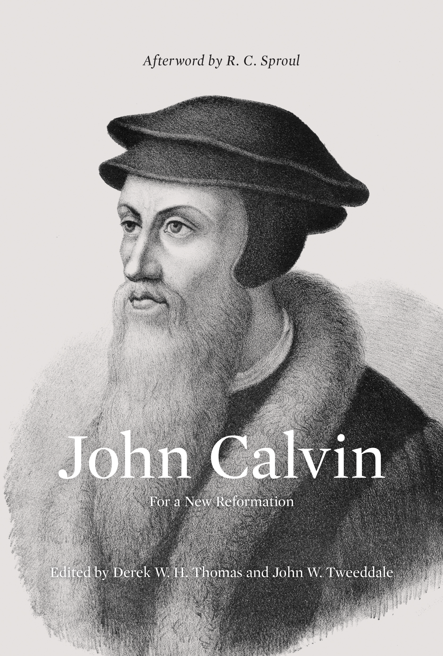 John calvin reformation image