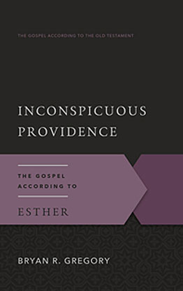 GAOT: Inconspicuous Providence (Esther)