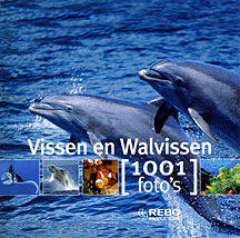 Vissen en walvissen 1001 foto's